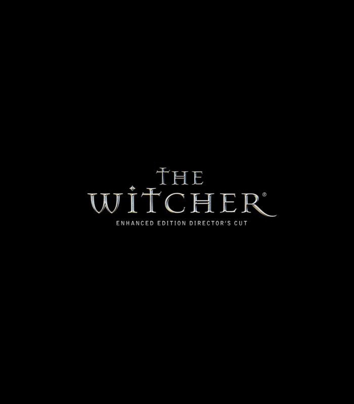 witcher_1_700_2